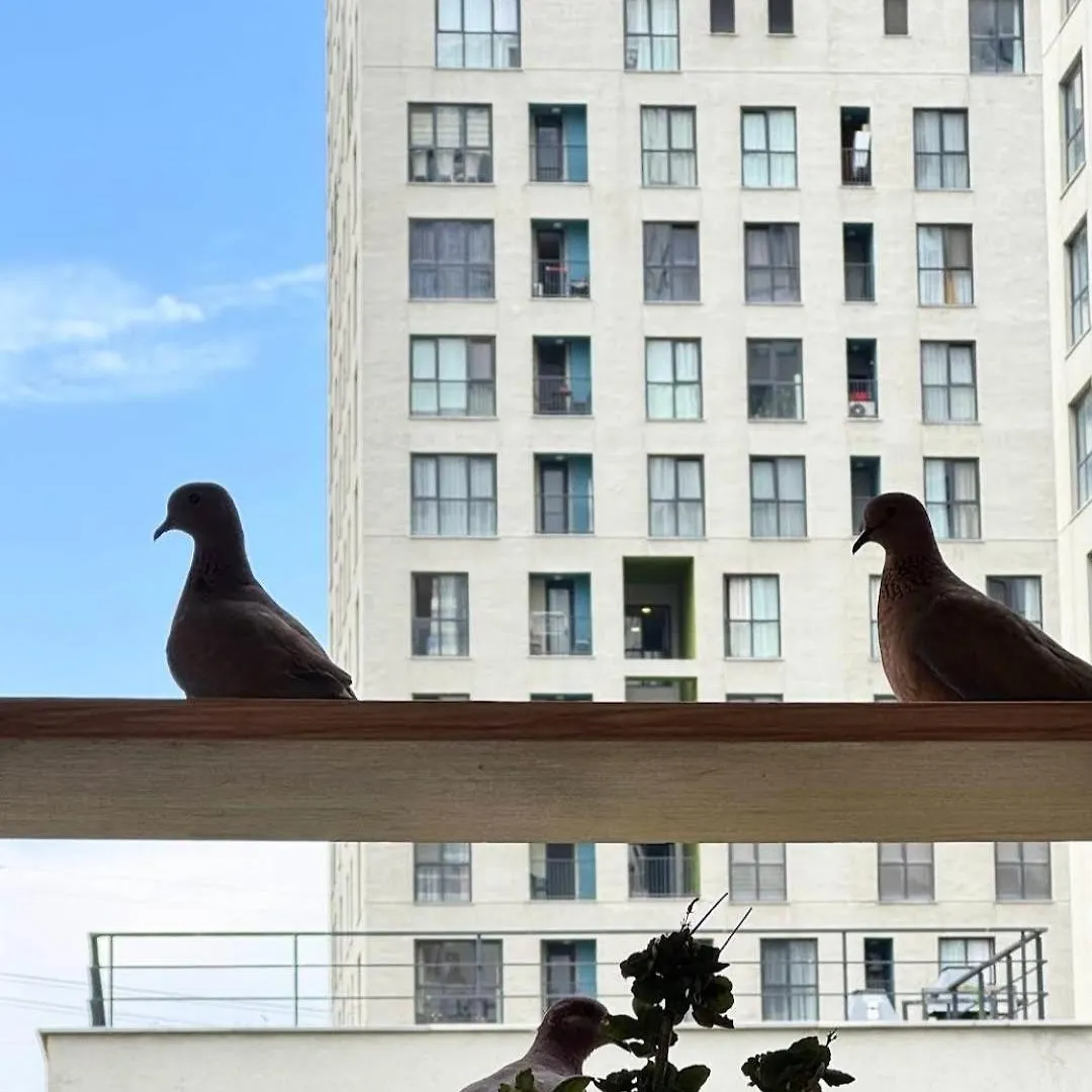 Hip Istanbul Apartment 0*,